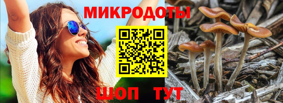 Галлюциногенные грибы мухоморы  Псилоцибиновые грибы мухоморы  Вход с VPN  дарнет шоп  Нальчик 